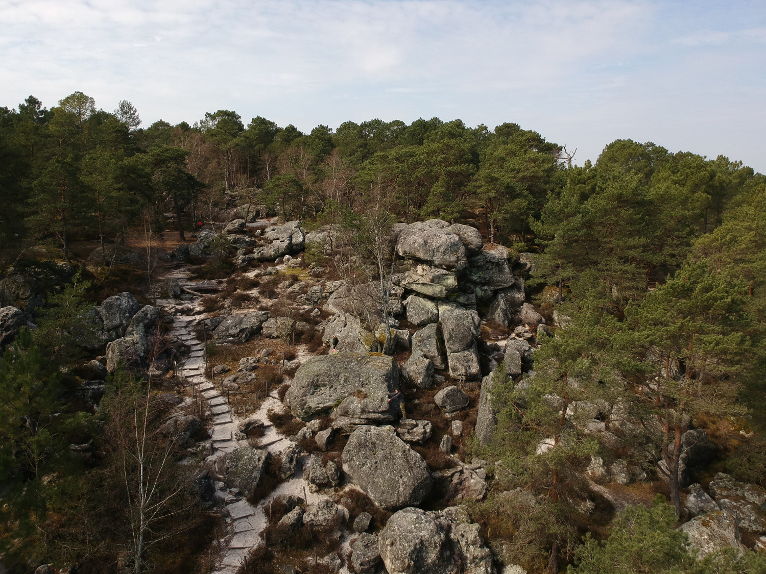 Course d'orientation à Fontainebleau